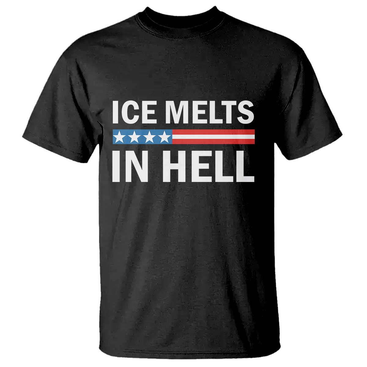 Ice Melts In Hell T Shirt Activist Statement Quote TS14 Black Print Your Wear