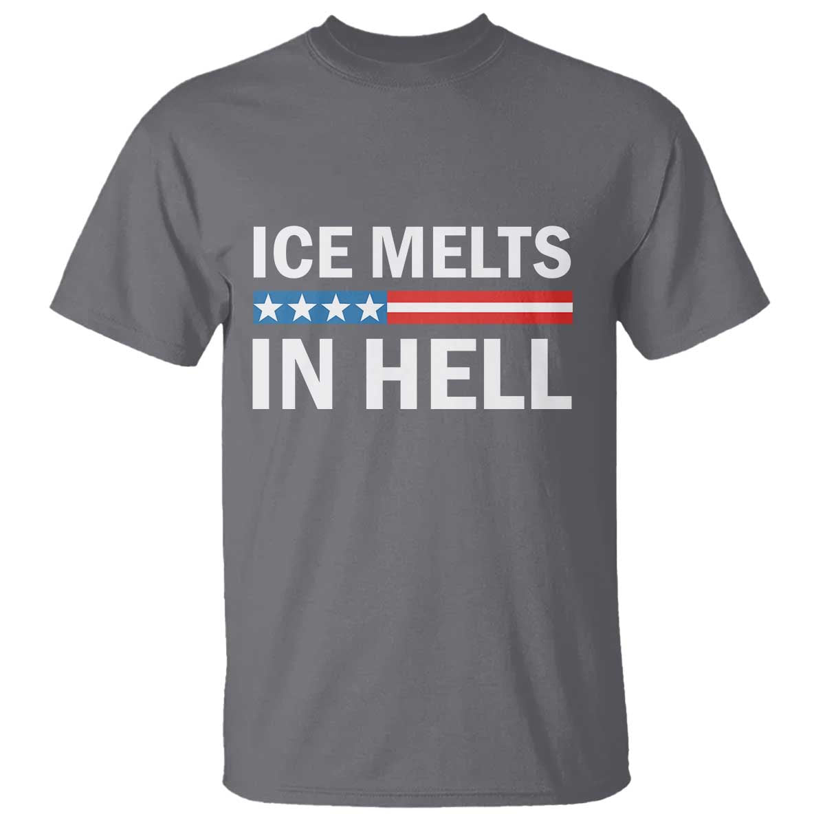 Ice Melts In Hell T Shirt Activist Statement Quote TS14 Charcoal Print Your Wear
