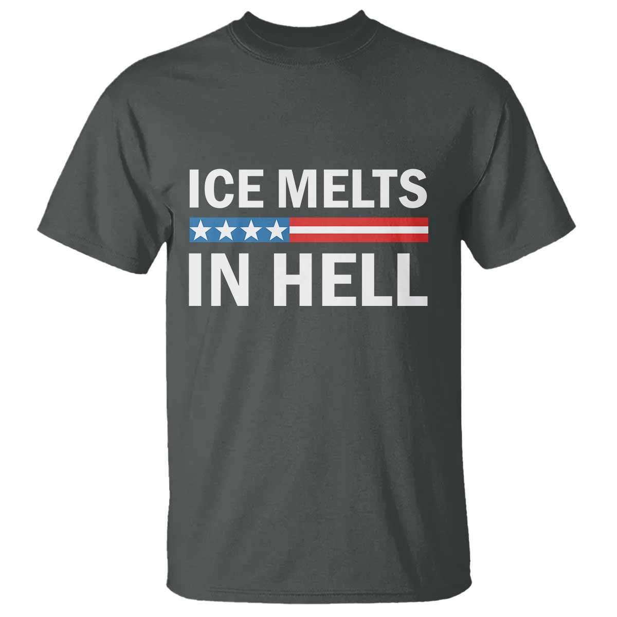 Ice Melts In Hell T Shirt Activist Statement Quote TS14 Dark Heather Print Your Wear