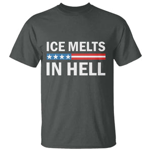 Ice Melts In Hell T Shirt Activist Statement Quote TS14 Dark Heather Print Your Wear