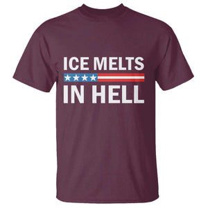 Ice Melts In Hell T Shirt Activist Statement Quote TS14 Maroon Print Your Wear