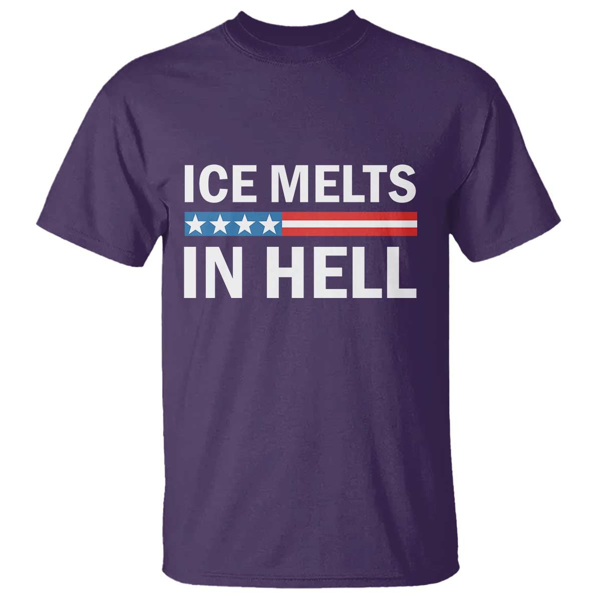 Ice Melts In Hell T Shirt Activist Statement Quote TS14 Purple Print Your Wear
