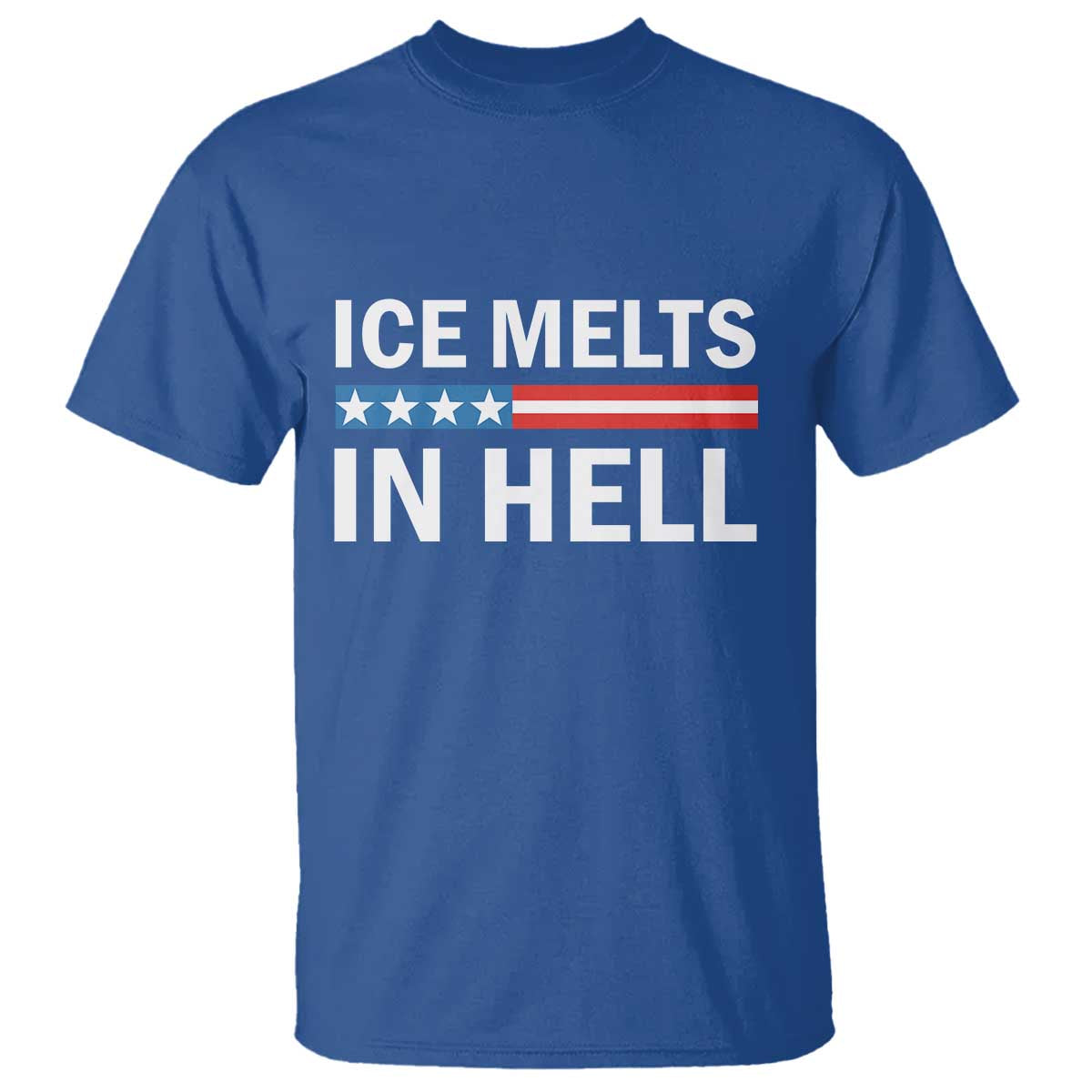 Ice Melts In Hell T Shirt Activist Statement Quote TS14 Royal Blue Print Your Wear