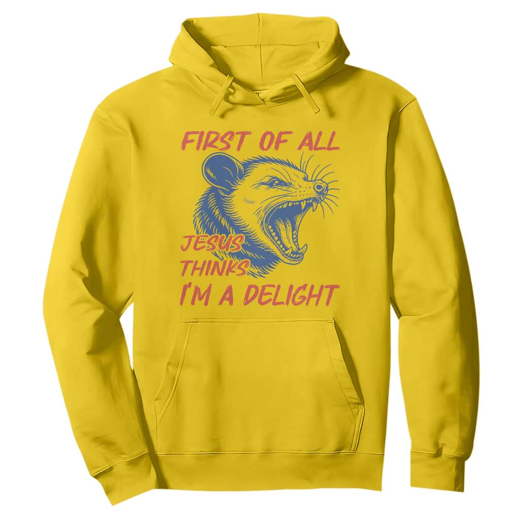 First of All Jesus Thinks I'm A Delight Hoodie Funny Opossum Christian TS14 Daisy Print Your Wear