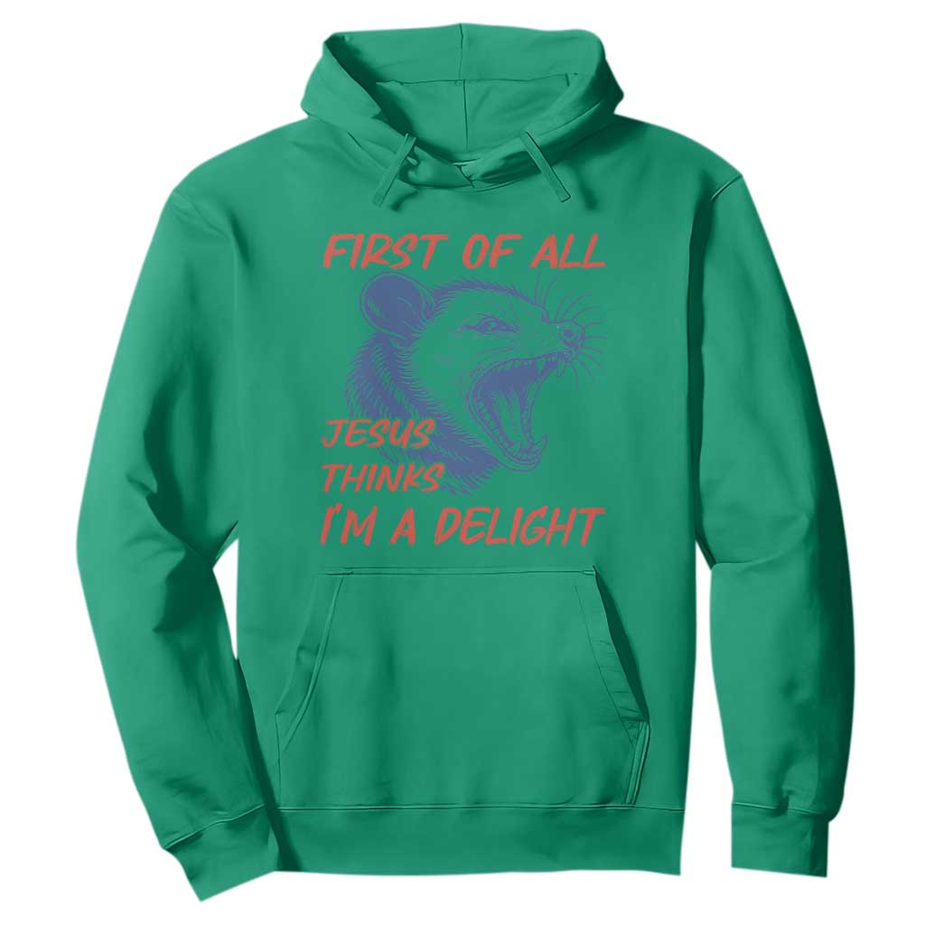 First of All Jesus Thinks I'm A Delight Hoodie Funny Opossum Christian TS14 Irish Green Print Your Wear