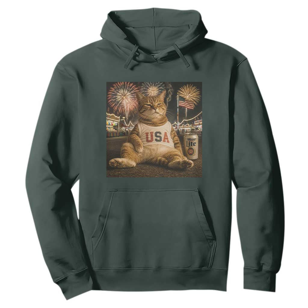 USA 250th Anniversary Statue of Liberty Hoodie The Summer USA Turned 250