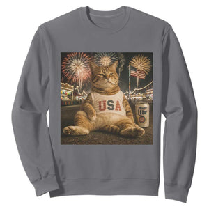 USA 250th Anniversary Statue of Liberty Sweatshirt The Summer USA Turned 250