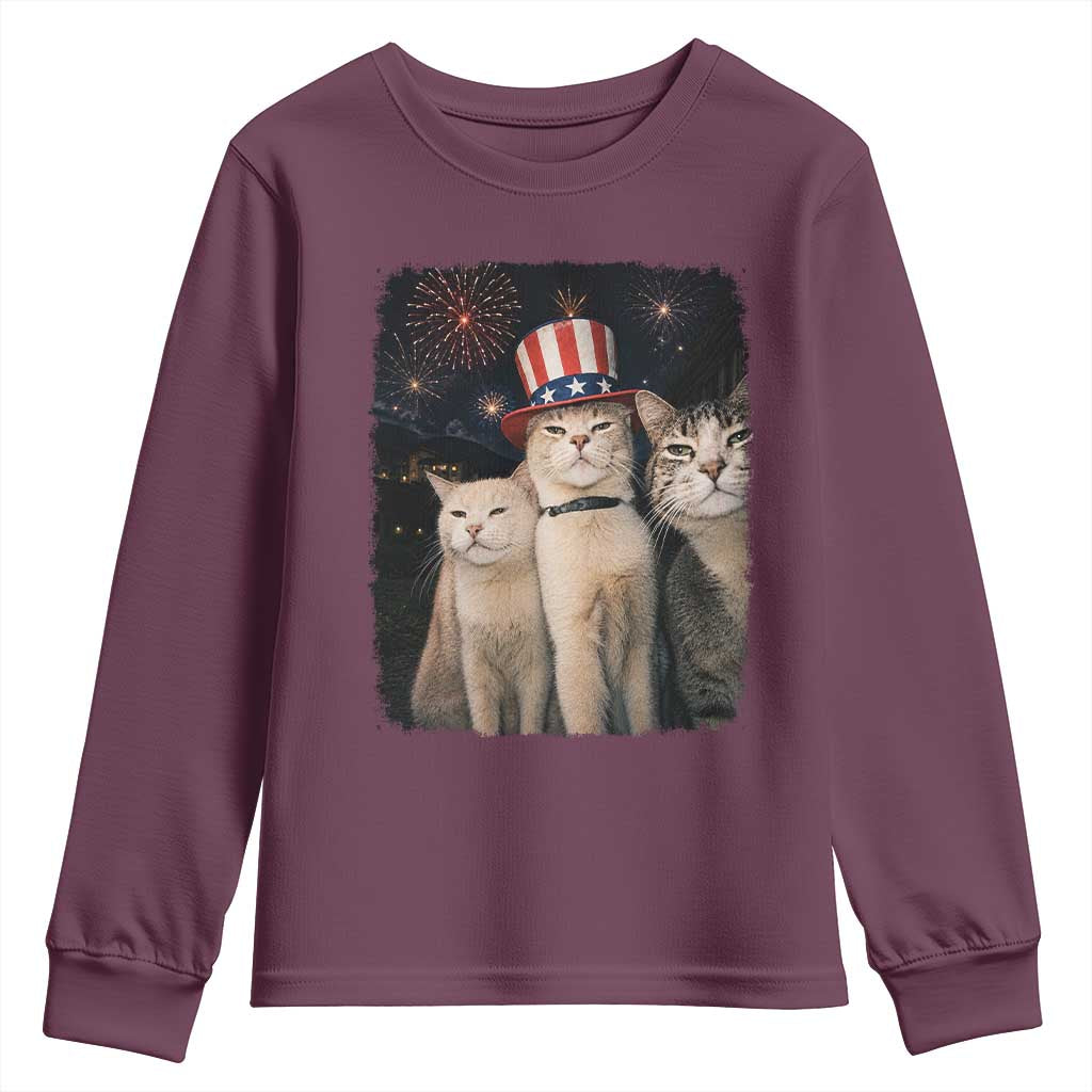 Patriotic Smoking Cat Youth Sweatshirt Funny American Cat Lover 4th of July