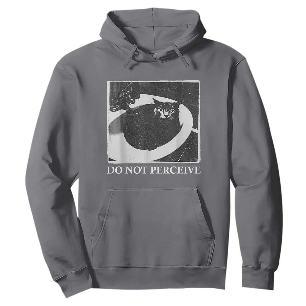 Do Not Perceive Me Funny Meme Cat Lover Hoodie Funny Cat Sarcstic Meme