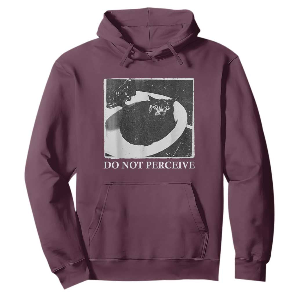 Do Not Perceive Me Funny Meme Cat Lover Hoodie Funny Cat Sarcstic Meme