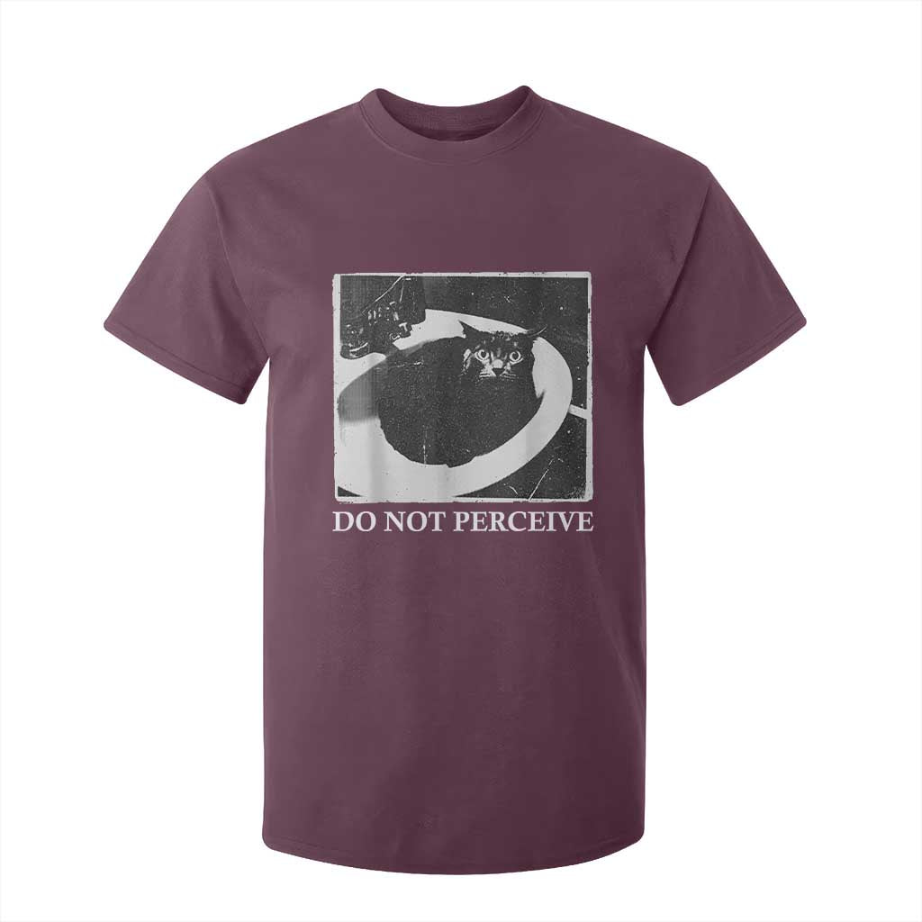 Do Not Perceive Me Funny Meme Cat Lover T Shirt For Kid Funny Cat Sarcstic Meme