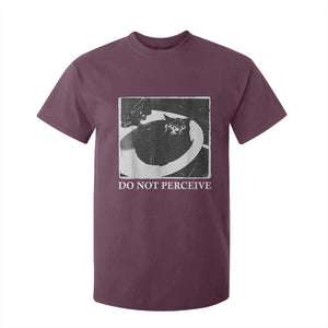 Do Not Perceive Me Funny Meme Cat Lover T Shirt For Kid Funny Cat Sarcstic Meme