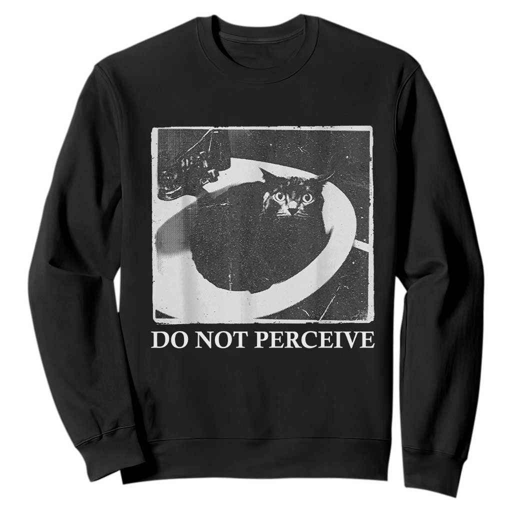 Do Not Perceive Me Funny Meme Cat Lover Sweatshirt Funny Cat Sarcstic Meme
