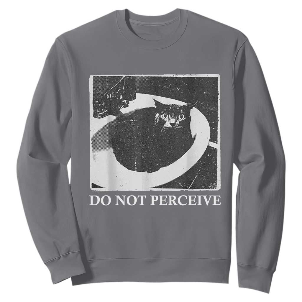 Do Not Perceive Me Funny Meme Cat Lover Sweatshirt Funny Cat Sarcstic Meme