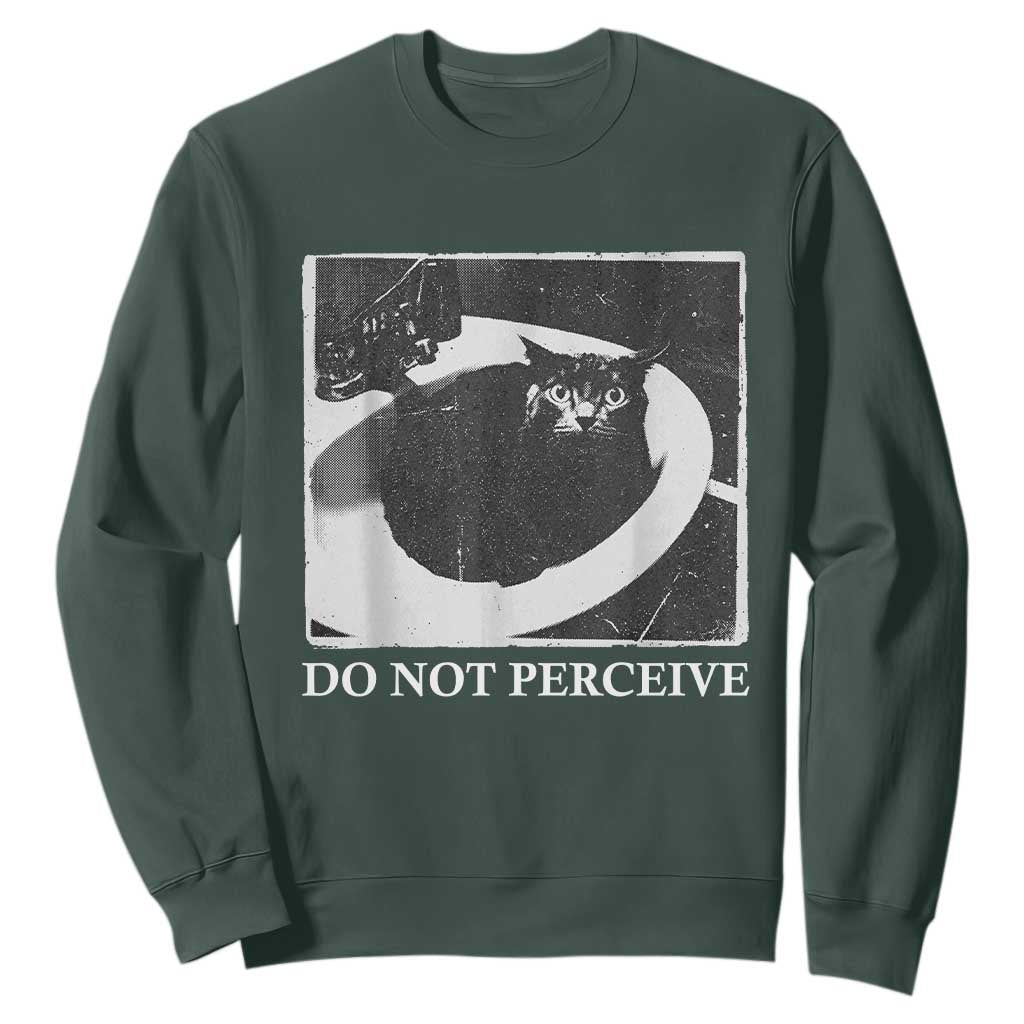Do Not Perceive Me Funny Meme Cat Lover Sweatshirt Funny Cat Sarcstic Meme