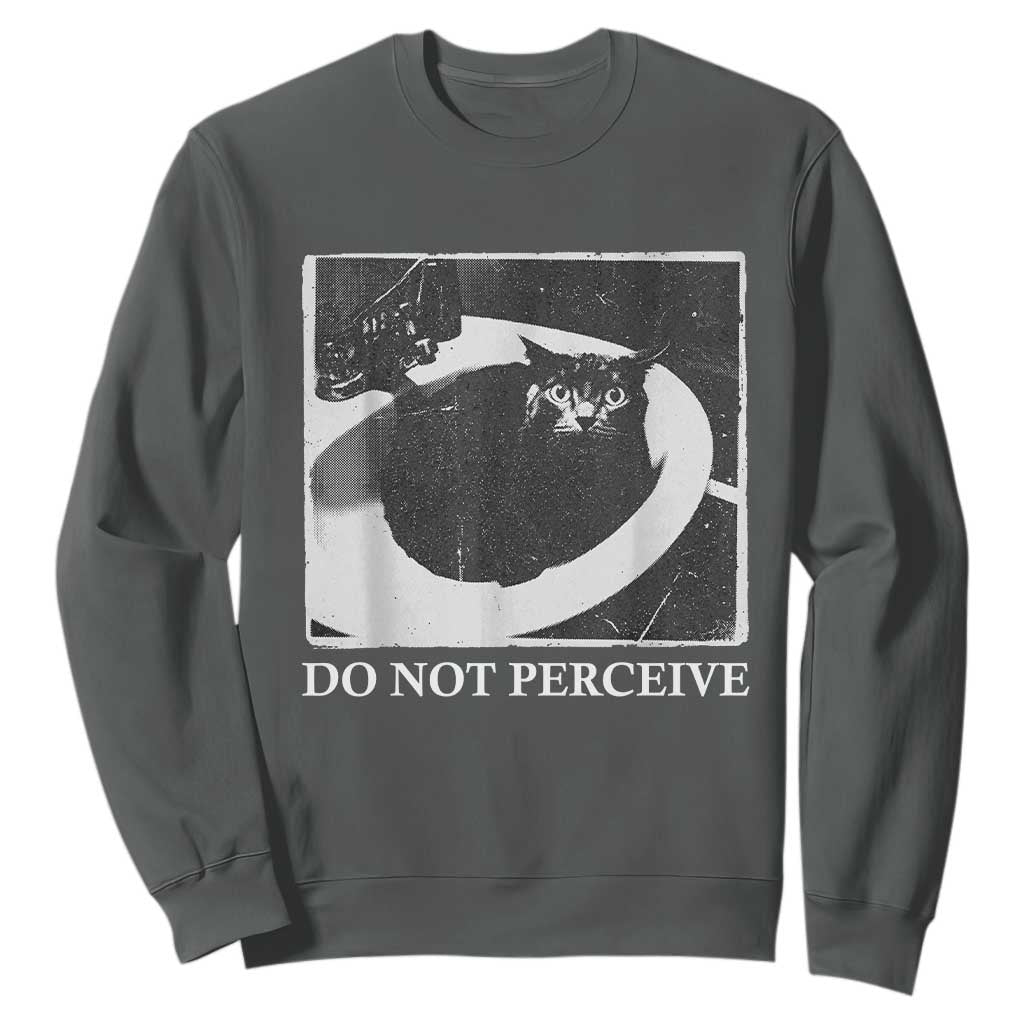 Do Not Perceive Me Funny Meme Cat Lover Sweatshirt Funny Cat Sarcstic Meme