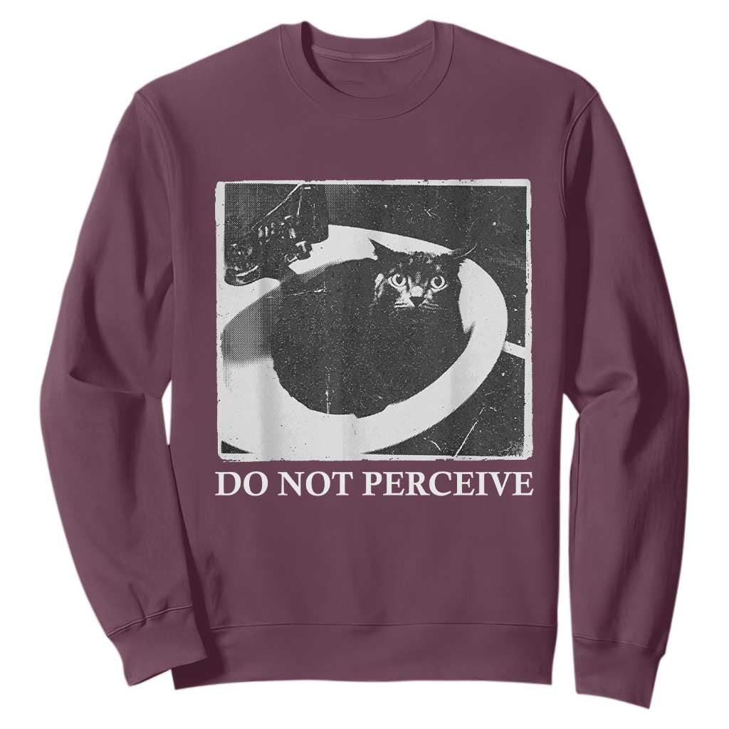Do Not Perceive Me Funny Meme Cat Lover Sweatshirt Funny Cat Sarcstic Meme