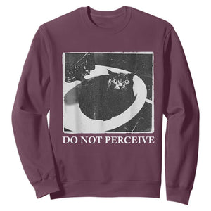 Do Not Perceive Me Funny Meme Cat Lover Sweatshirt Funny Cat Sarcstic Meme