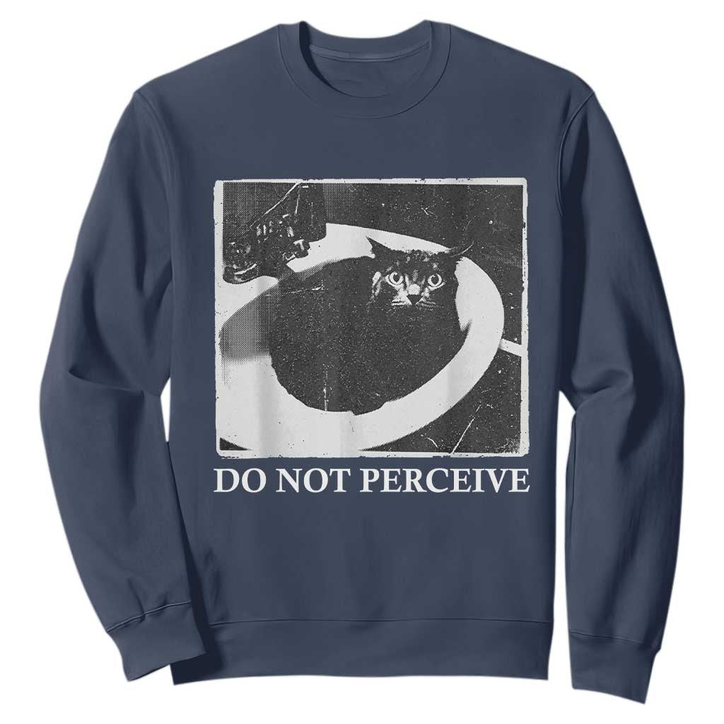 Do Not Perceive Me Funny Meme Cat Lover Sweatshirt Funny Cat Sarcstic Meme