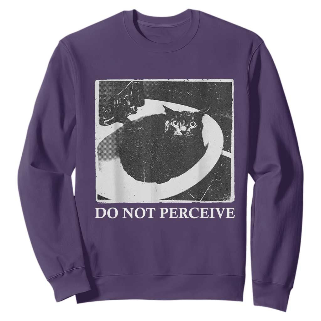 Do Not Perceive Me Funny Meme Cat Lover Sweatshirt Funny Cat Sarcstic Meme