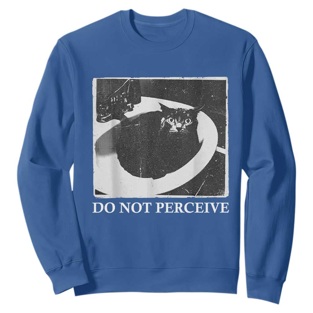 Do Not Perceive Me Funny Meme Cat Lover Sweatshirt Funny Cat Sarcstic Meme