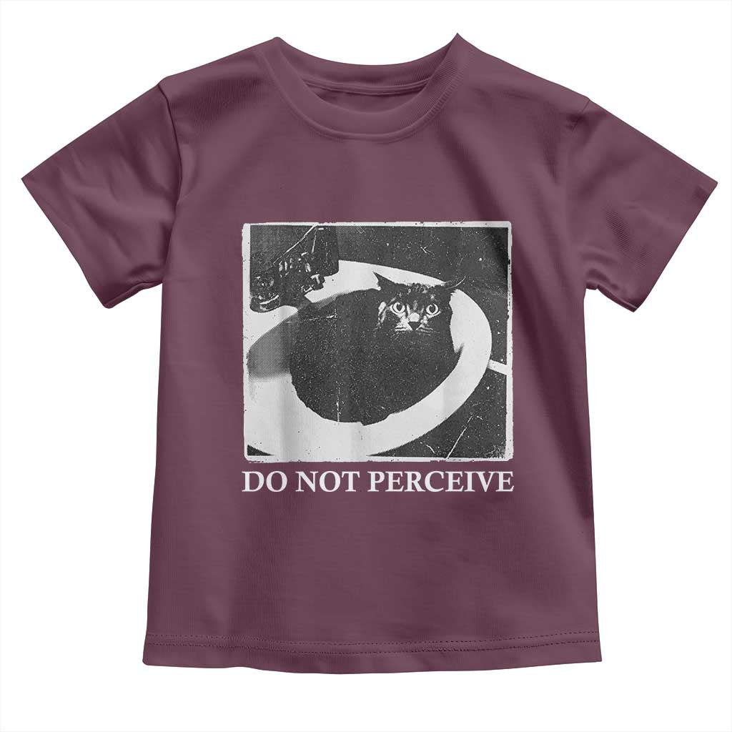 Do Not Perceive Me Funny Meme Cat Lover Toddler T Shirt Funny Cat Sarcstic Meme
