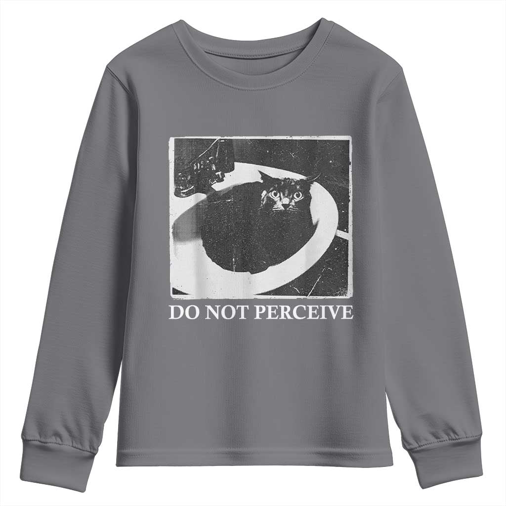 Do Not Perceive Me Funny Meme Cat Lover Youth Sweatshirt Funny Cat Sarcstic Meme