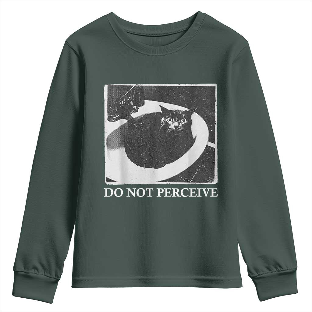 Do Not Perceive Me Funny Meme Cat Lover Youth Sweatshirt Funny Cat Sarcstic Meme