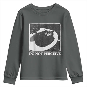 Do Not Perceive Me Funny Meme Cat Lover Youth Sweatshirt Funny Cat Sarcstic Meme