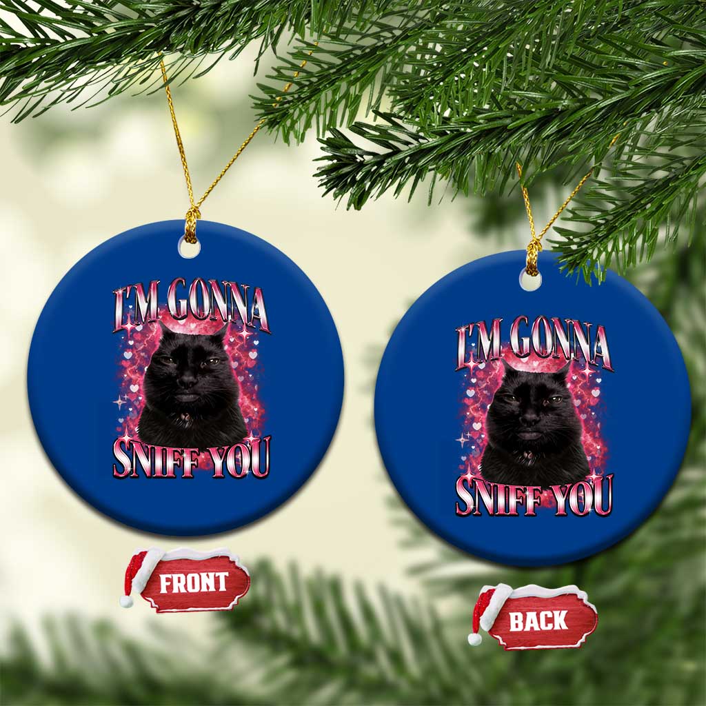 I'm Gonna Sniff You Ceramic Ornament Funny Black Cat Meme TS14 1pc Blue Print Your Wear