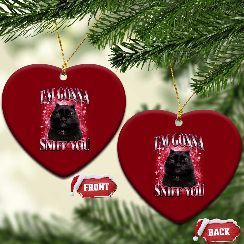 I'm Gonna Sniff You Ceramic Ornament Funny Black Cat Meme TS14 Print Your Wear