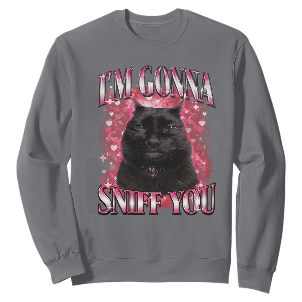 I'm Gonna Sniff You Sweatshirt Funny Black Cat Meme TS14 Charcoal Print Your Wear