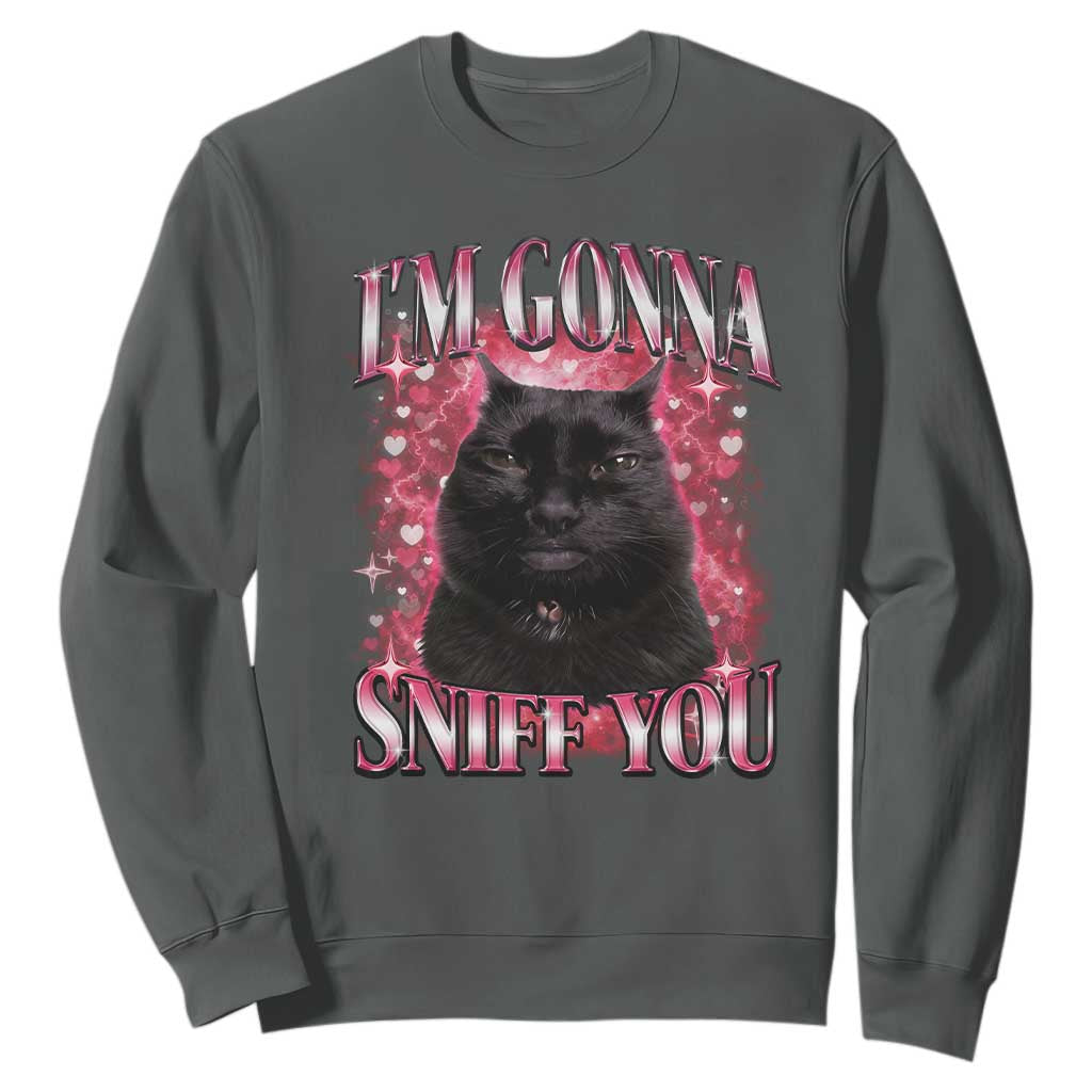 I'm Gonna Sniff You Sweatshirt Funny Black Cat Meme TS14 Dark Heather Print Your Wear