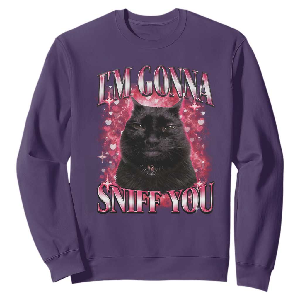 I'm Gonna Sniff You Sweatshirt Funny Black Cat Meme TS14 Purple Print Your Wear