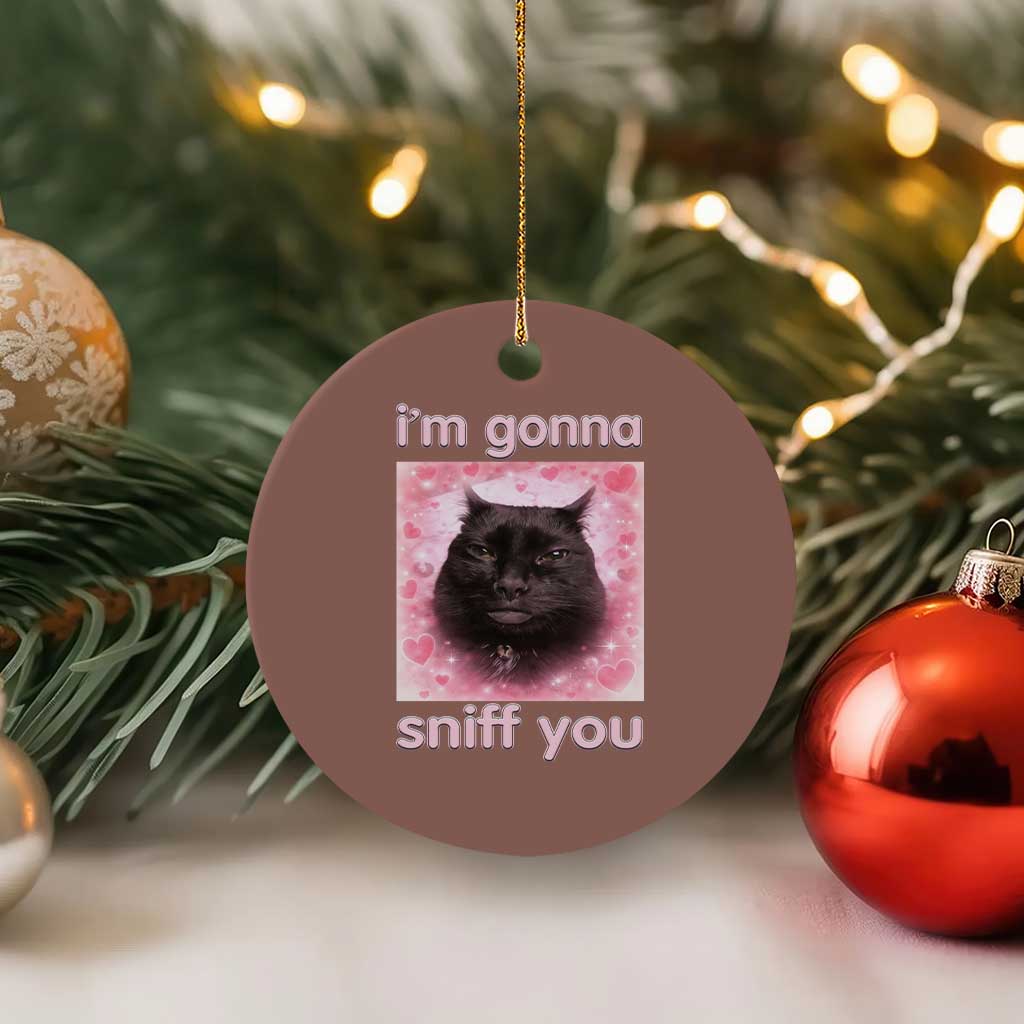 I'm Gonna Sniff You Ceramic Ornament Funny Black Cat Brainrot Meme TS14 1pc Mocha Print Your Wear