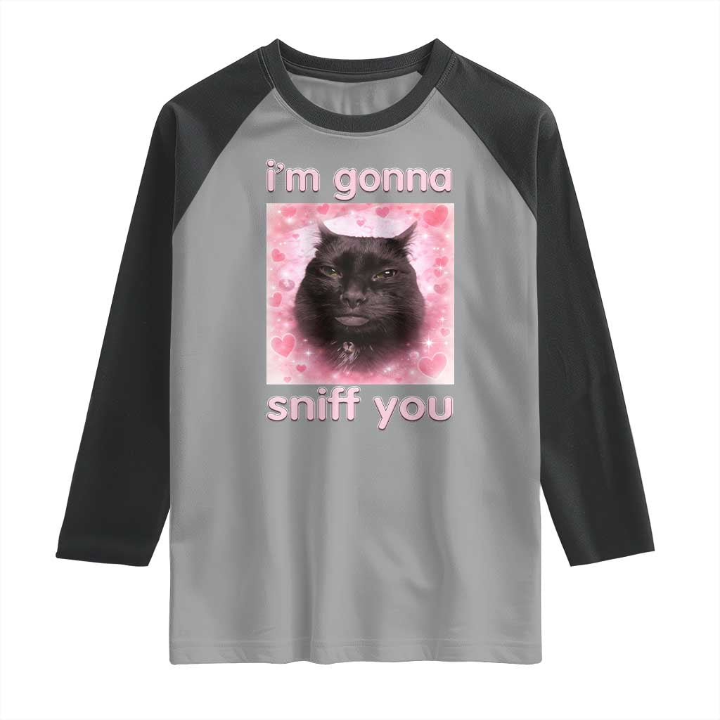 I'm Gonna Sniff You Raglan Shirt Funny Black Cat Brainrot Meme TS14 Sport Gray Black Print Your Wear