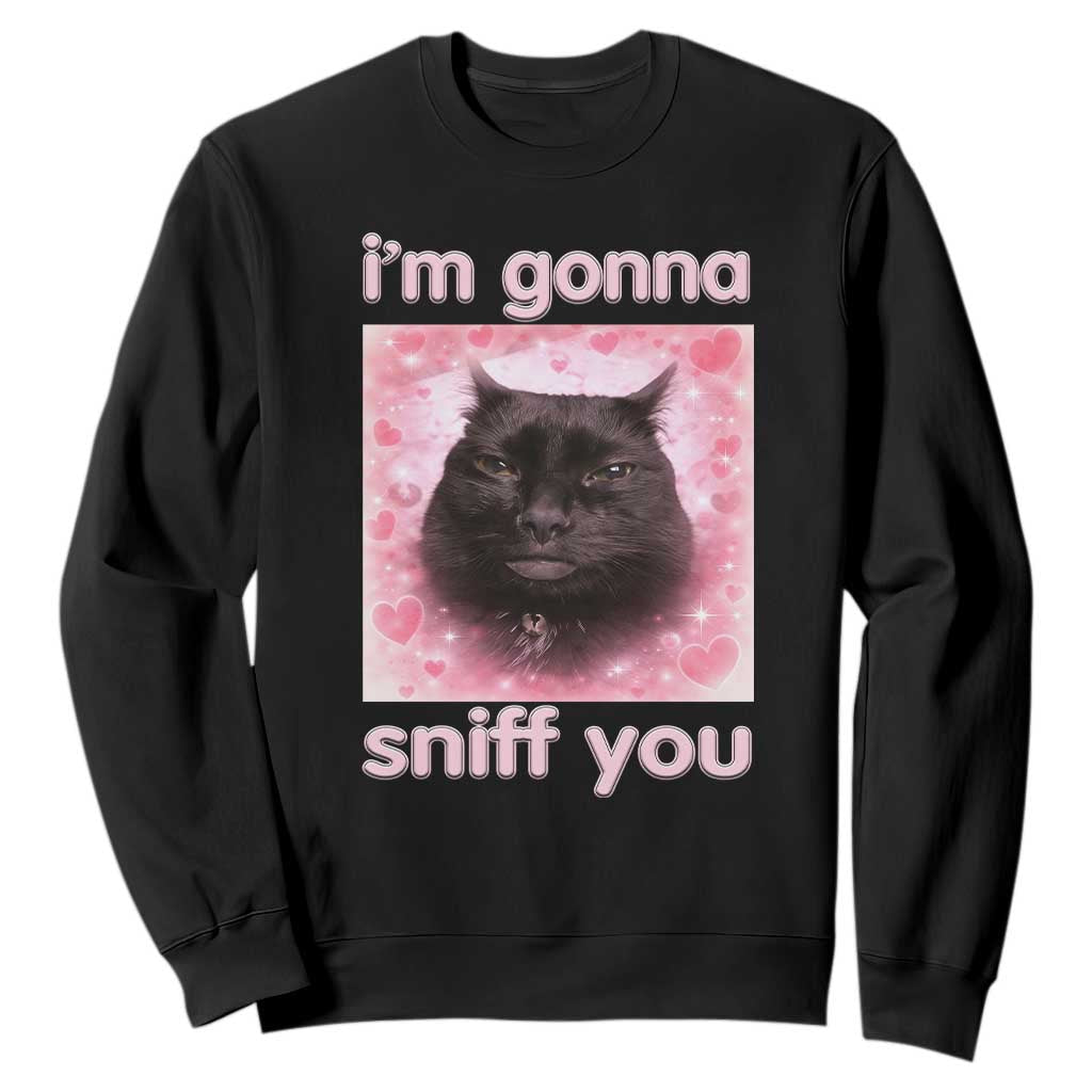 I'm Gonna Sniff You Sweatshirt Funny Black Cat Brainrot Meme TS14 Black Print Your Wear