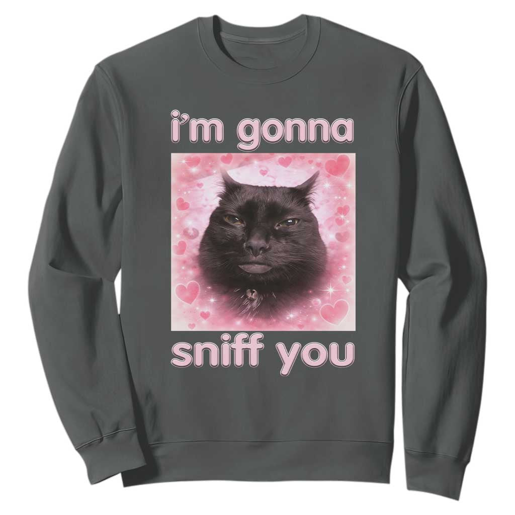 I'm Gonna Sniff You Sweatshirt Funny Black Cat Brainrot Meme TS14 Dark Heather Print Your Wear