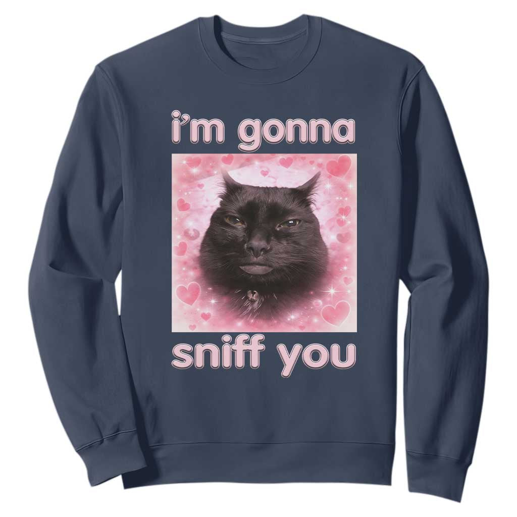 I'm Gonna Sniff You Sweatshirt Funny Black Cat Brainrot Meme TS14 Navy Print Your Wear