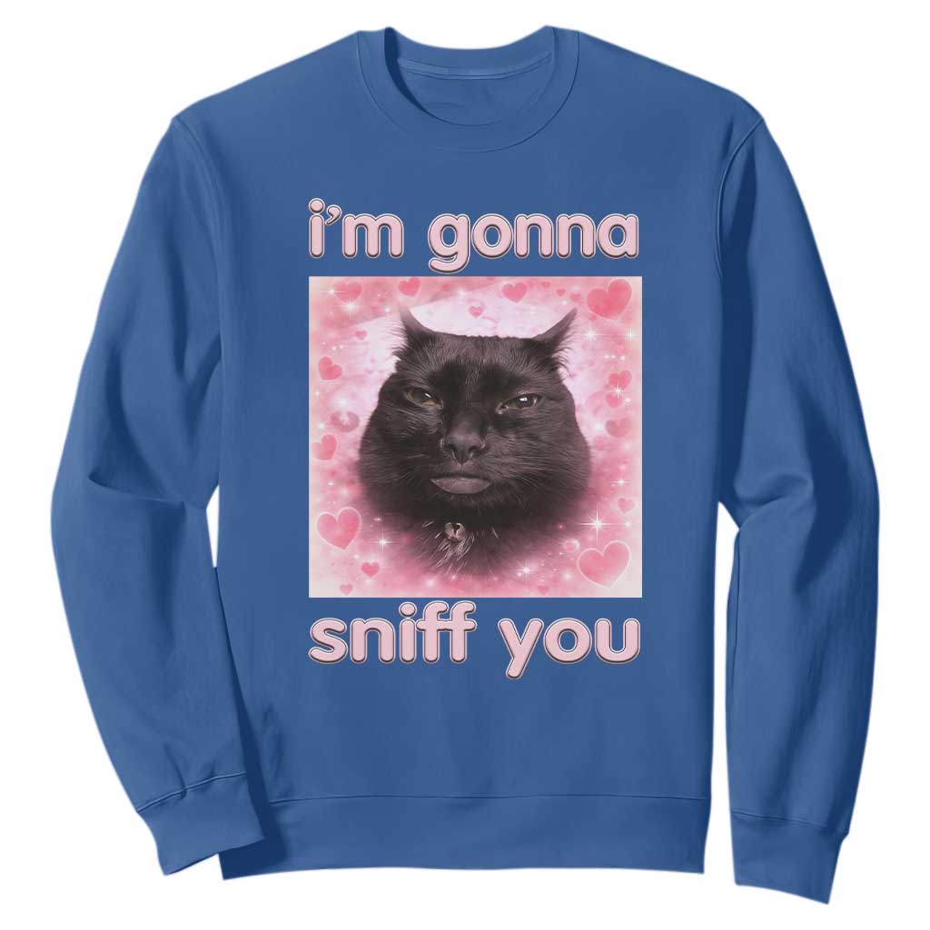 I'm Gonna Sniff You Sweatshirt Funny Black Cat Brainrot Meme TS14 Royal Blue Print Your Wear