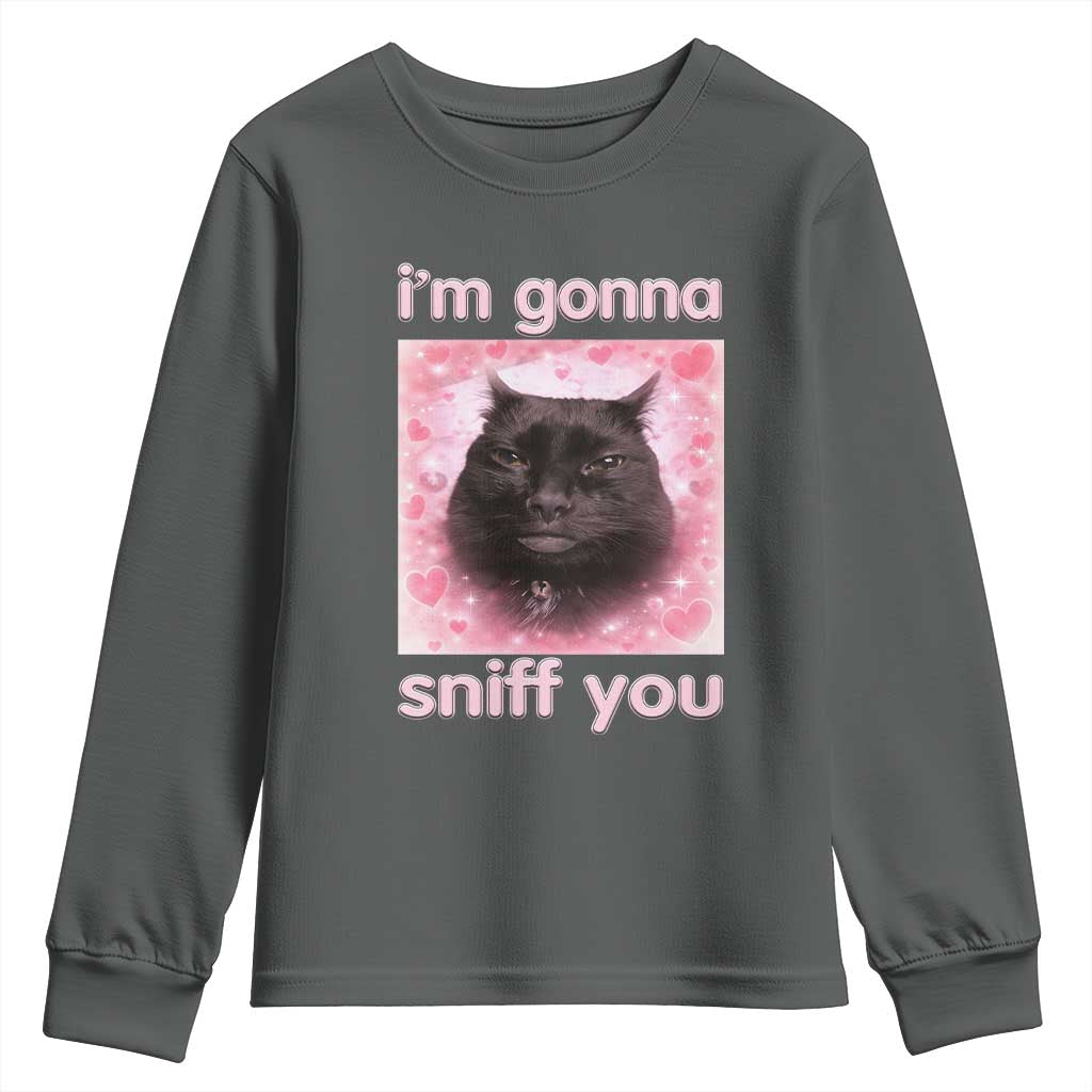 I'm Gonna Sniff You Youth Sweatshirt Funny Black Cat Brainrot Meme TS14 Dark Heather Print Your Wear