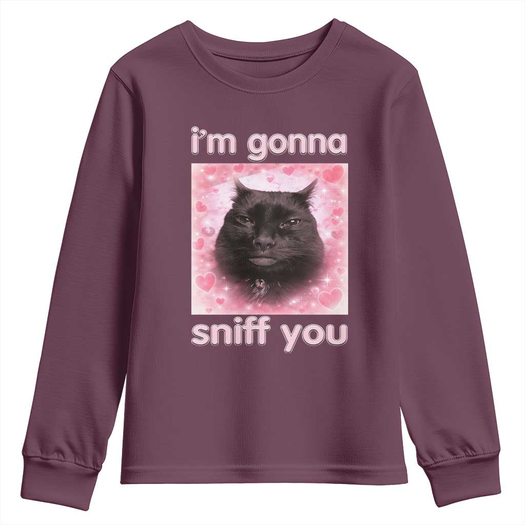 I'm Gonna Sniff You Youth Sweatshirt Funny Black Cat Brainrot Meme TS14 Maroon Print Your Wear
