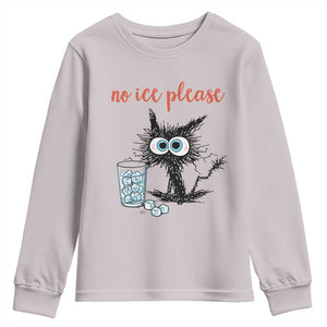 No Ice Please Youth Sweatshirt Funny Black Cat Sarcastic Abolish ICE Meme TS14 Ice Gray Print Your Wear