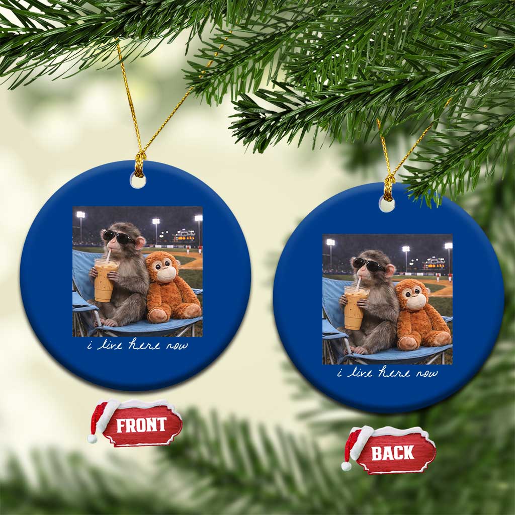 Funny Punch Monkey Baseball Ceramic Ornament I Live Here Now Ballpark Graphic TS14 1pc Blue Print Your Wear