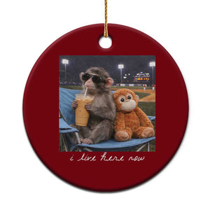 Funny Punch Monkey Baseball Ceramic Ornament I Live Here Now Ballpark Graphic TS14 1pc Red Print Your Wear