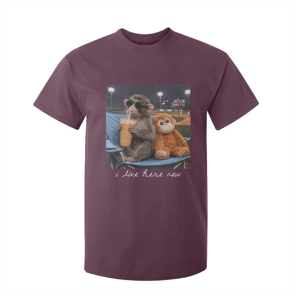 Funny Punch Monkey Baseball T Shirt For Kid I Live Here Now Ballpark Graphic TS14 Maroon Print Your Wear