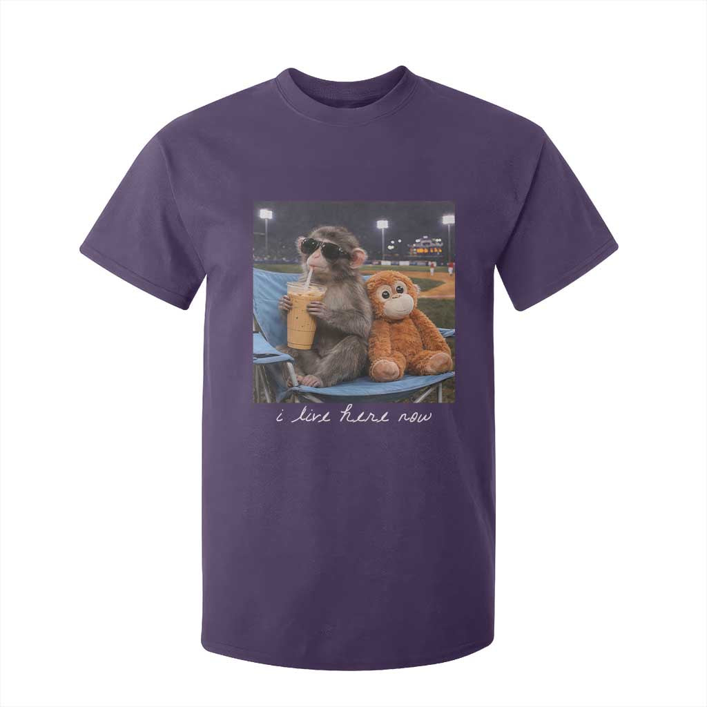 Funny Punch Monkey Baseball T Shirt For Kid I Live Here Now Ballpark Graphic TS14 Purple Print Your Wear