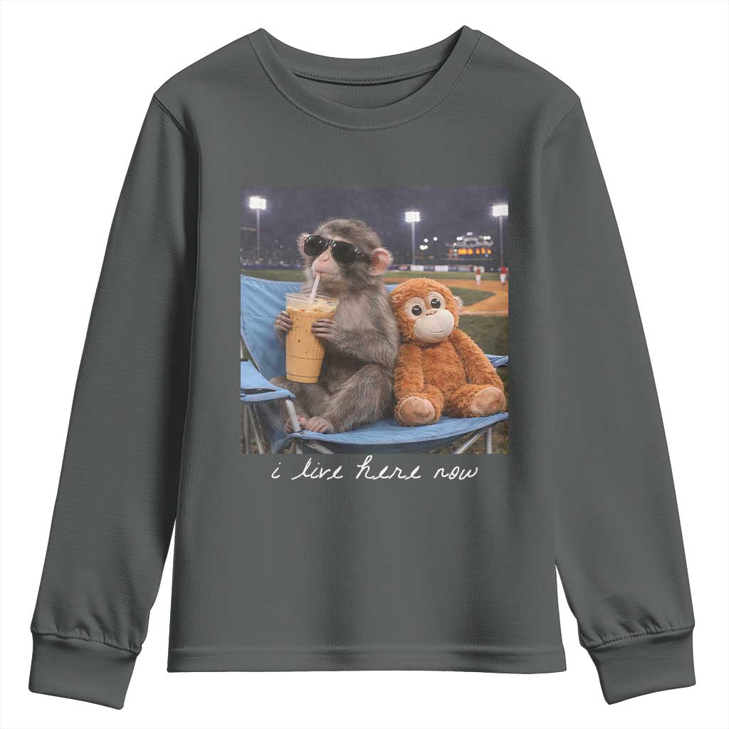 Funny Punch Monkey Baseball Youth Sweatshirt I Live Here Now Ballpark Graphic TS14 Dark Heather Print Your Wear