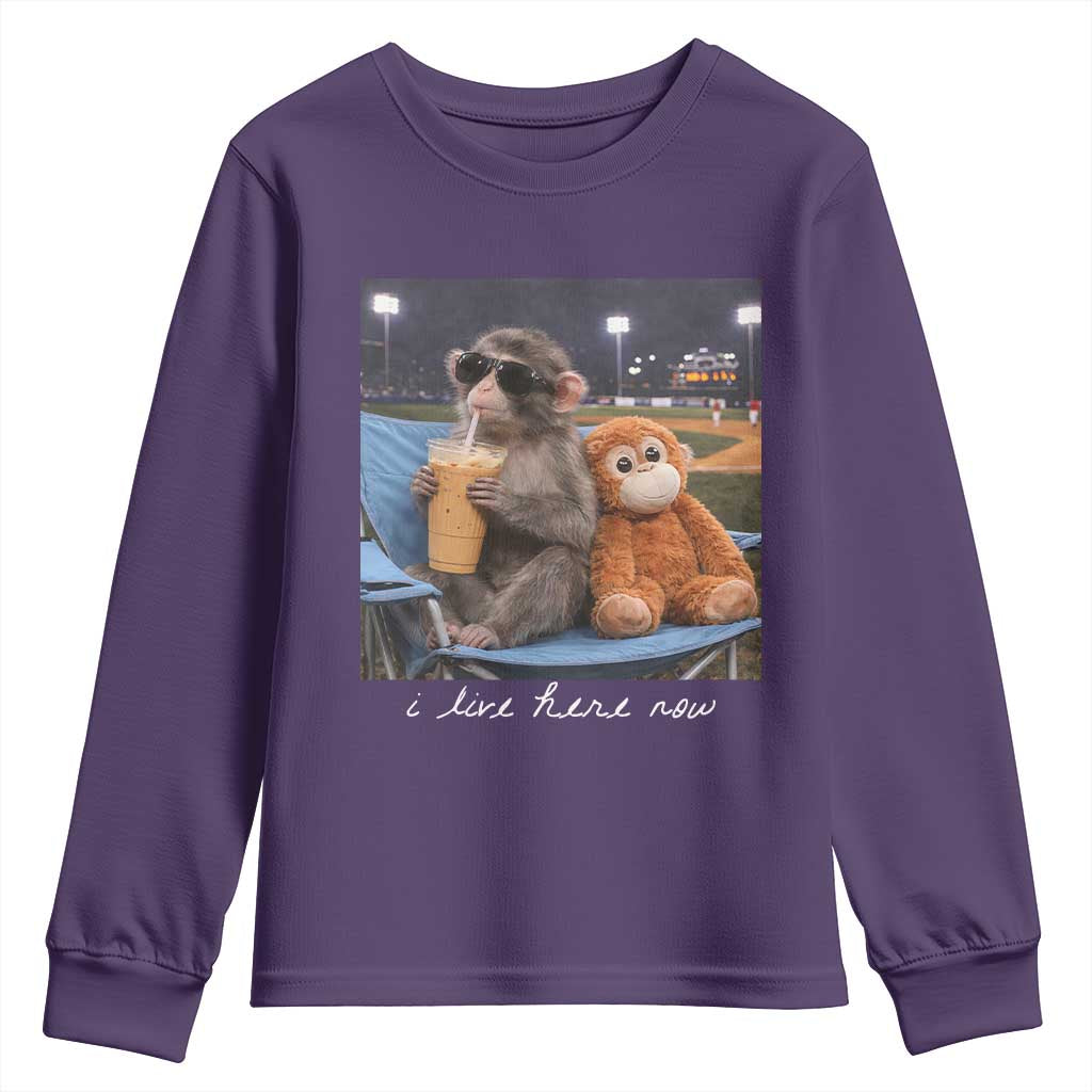Funny Punch Monkey Baseball Youth Sweatshirt I Live Here Now Ballpark Graphic TS14 Purple Print Your Wear