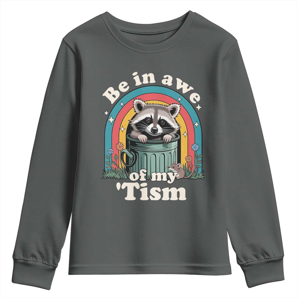 Be in Awe of My Tism Youth Sweatshirt Funny Raccoon Autism Acceptance TS14 Dark Heather Print Your Wear